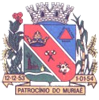 Patrocínio do Muriaé Patrocínio do Muriaé